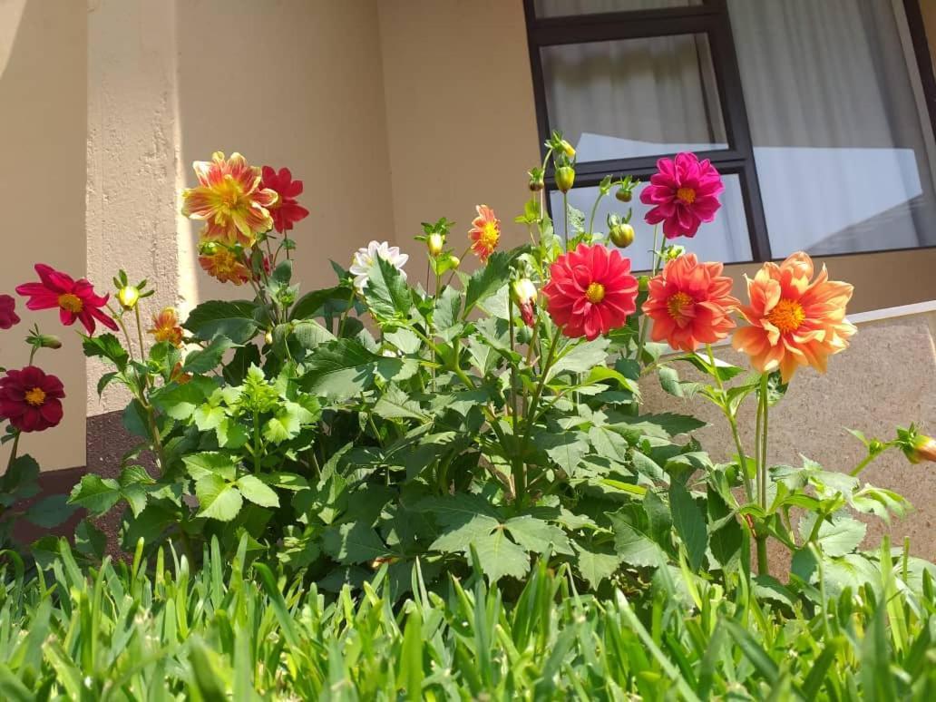 Styled Bed And Breakfast Palapye Extérieur photo